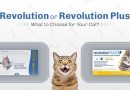 revolution vs revolution plus