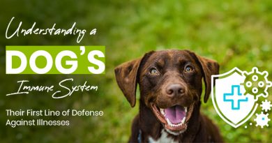 Immunity for dogs