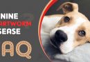 heartworm in dogs faq