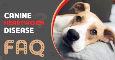 heartworm in dogs faq