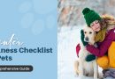 how to keep pets safe in cold weather