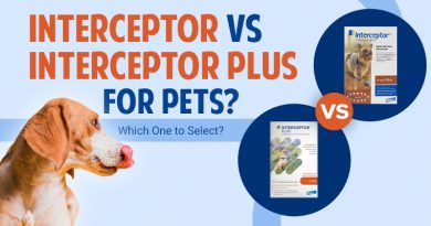 Interceptor vs Interceptor Plus