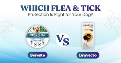 seresto-vs-bravecto-which-flea-&-tick-protection-is-right-for-your-dog