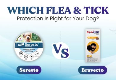 seresto-vs-bravecto-which-flea-&-tick-protection-is-right-for-your-dog