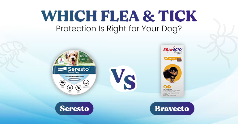 seresto-vs-bravecto-which-flea-&-tick-protection-is-right-for-your-dog
