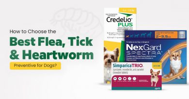 how-to-choose-the-best-flea-tick-heartworm-preventive-for-dogs