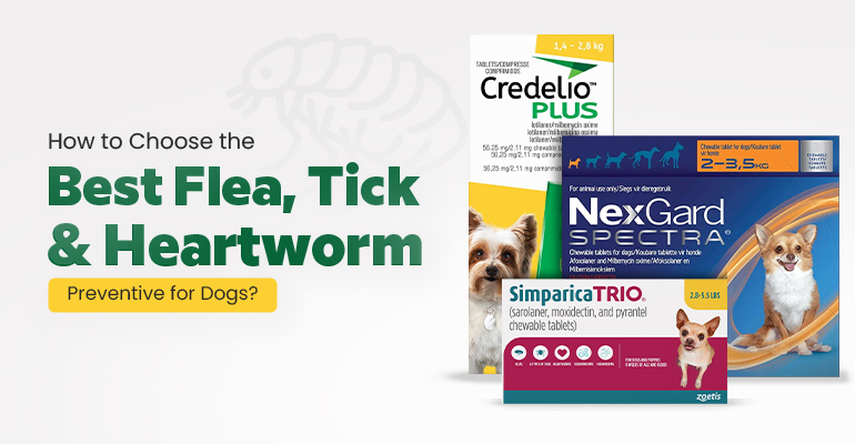 how-to-choose-the-best-flea-tick-heartworm-preventive-for-dogs