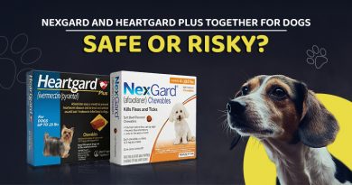 nexgard-and-heartgard-plus-together-for-dogs-safe-or-risky
