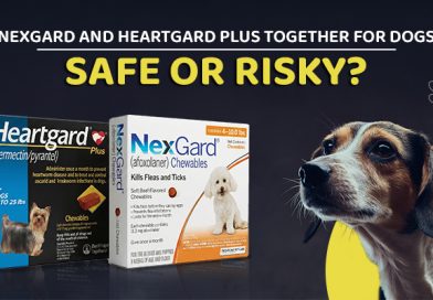 nexgard-and-heartgard-plus-together-for-dogs-safe-or-risky