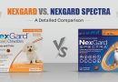 nexgard-vs-nexgard-spectra-a-detailed-comparison