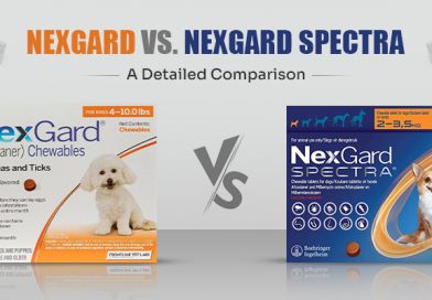 nexgard-vs-nexgard-spectra-a-detailed-comparison