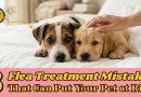 8-flea-treatment-mistakes-that-can-put-your-pet-at-risk