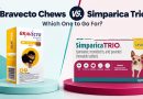 bravecto-chews-vs-simparica-trio-which-one-to-go-for