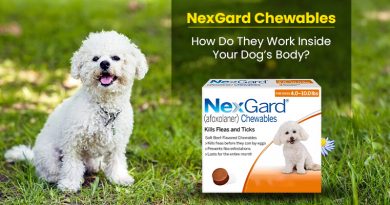 NexGard Chewables – How Do They Work Inside Your Dog’s Body? nexgard-chewables-how-do-they-work-inside-your-dogs-body