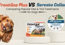 frontline-plus-vs-seresto-collar-comparing-popular-flea-&-tick-treatments-for-dogs