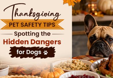 thanksgiving-pet-safety-tips-spotting-the-hidden-dangers-for-dogs